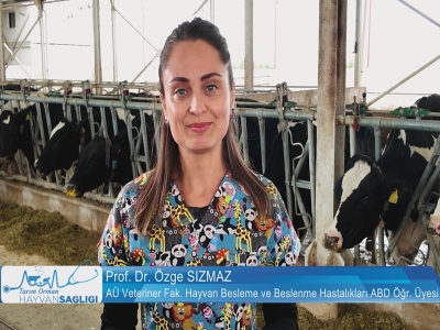 Tarım Orman Hayvan Sağlığı 5.Bölüm