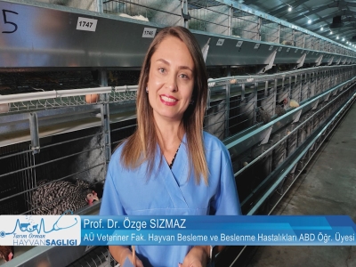 Tarım Orman Hayvan Sağlığı 6.Bölüm