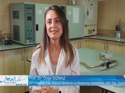 Tarım Orman Hayvan Sağlığı 7.Bölüm