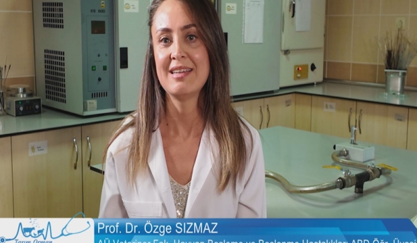 Tarım Orman Hayvan Sağlığı 7.Bölüm