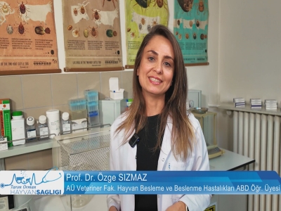 Tarım Orman Hayvan Sağlığı 8.Bölüm