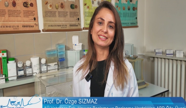 Tarım Orman Hayvan Sağlığı 8.Bölüm