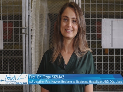 Tarım Orman Hayvan Sağlığı 13.Bölüm