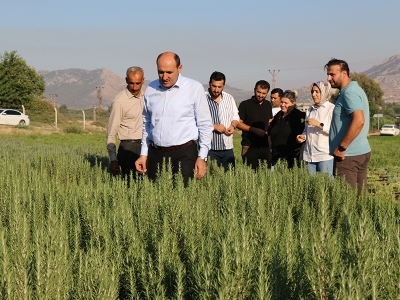 Adana’da tıbbi bitki üretimi yaygınlaşıyor
