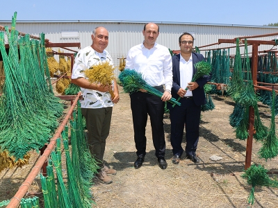 Ar-Ge’yle geliştirdi, ithalatı ihracata çevirdi