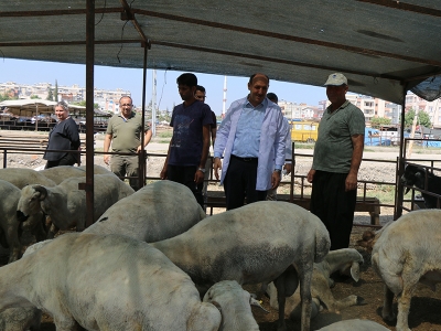 Kurban pazarlarında denetimler hız kesmiyor