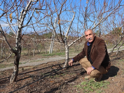 Çukurova’da tarımsal üretime 