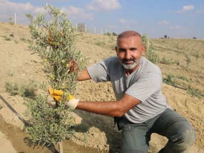 Toprağa tutundu, hayata yeniden kök saldı