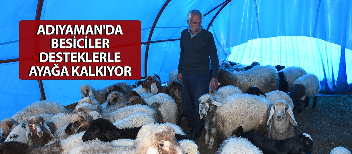 Adıyaman'da besiciler desteklerle ayağa kalkıyor