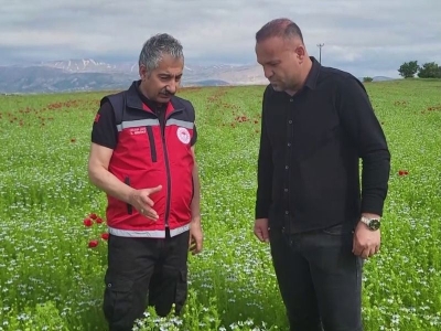 Çiftçiler dayanıklı ürünlere yöneldi