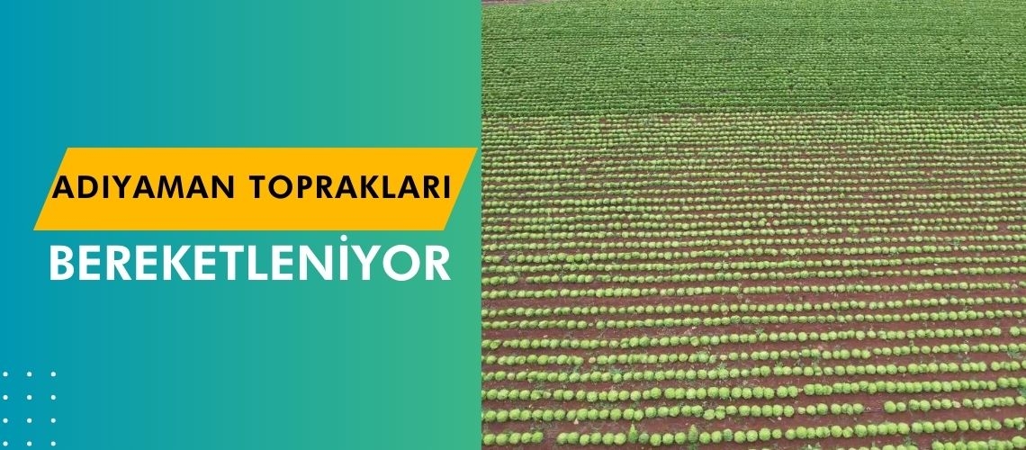 Adıyaman toprakları bereketleniyor