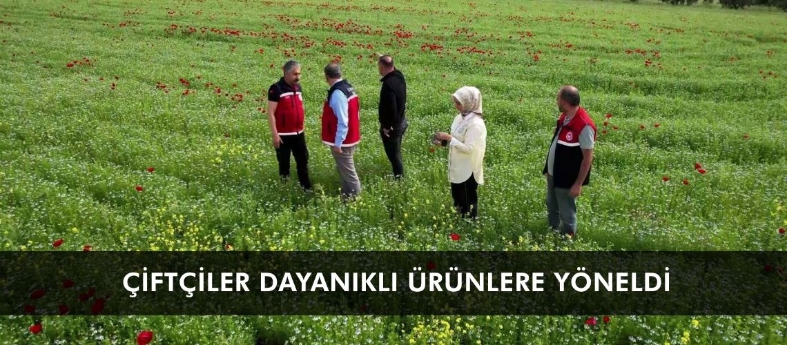 Çiftçiler dayanıklı ürünlere yöneldi