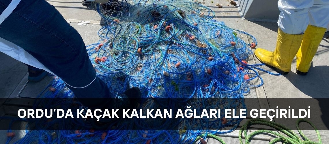 Ordu’da kaçak kalkan ağları ele geçirildi