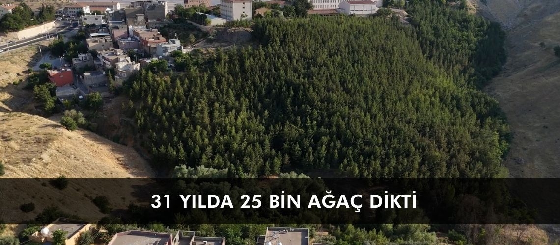 31 yılda 25 bin ağaç dikti