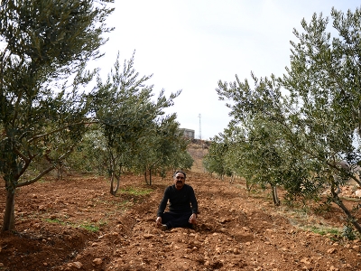 Huzuru memleketi Mardin'de diktiği yüzlerce ağaçta buldu