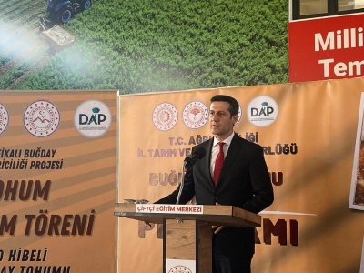 Ağrı'da çiftçilere tohum desteği