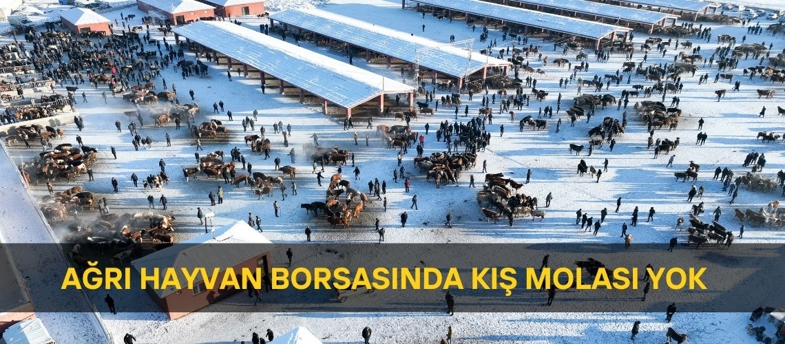 Ağrı hayvan borsasında kış molası yok
