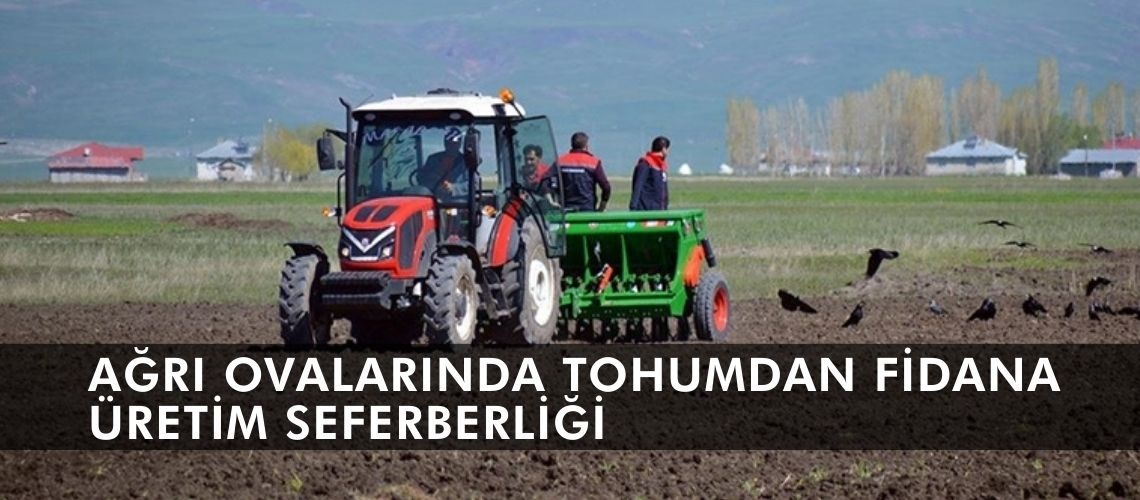 Ağrı ovalarında tohumdan fidana üretim seferberliği