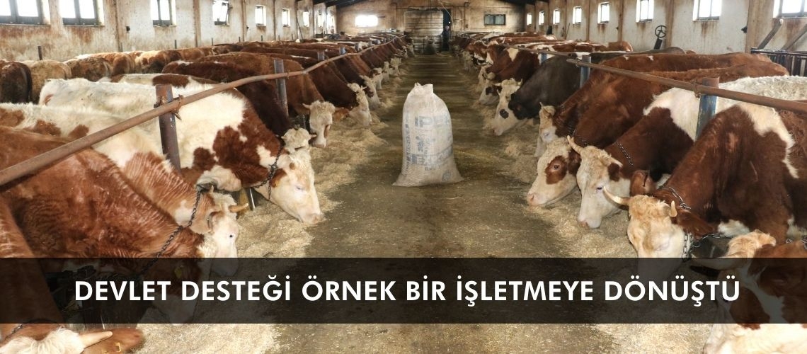 Devlet desteği örnek bir işletmeye dönüştü