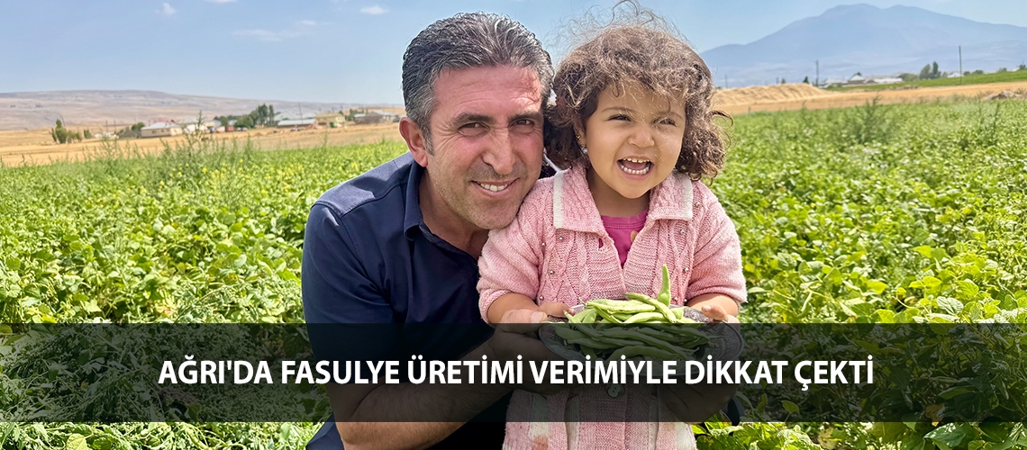 Ağrı'da fasulye üretimi verimiyle dikkat çekti