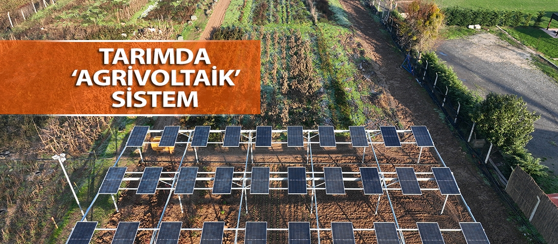 Tarımda ‘agrivoltaik’ sistem