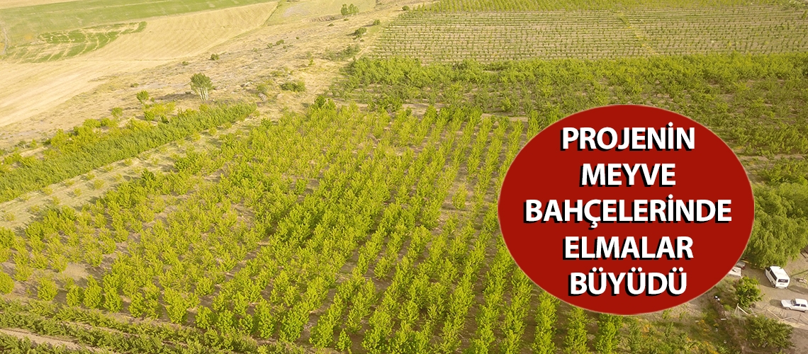 Projenin meyve bahçelerinde elmalar büyüdü