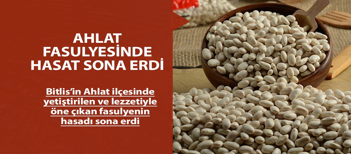 Ahlat fasulyesinde hasat sona erdi