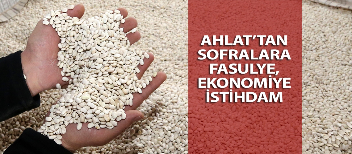 Ahlat’tan sofralara fasulye, ekonomiye istihdam