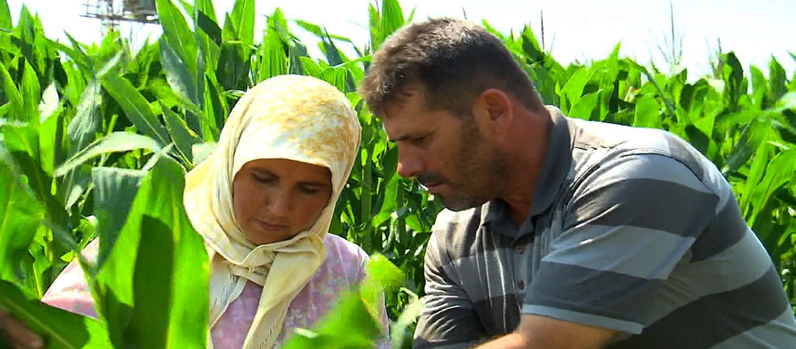 Aile Çiftçiliğinin Önemi