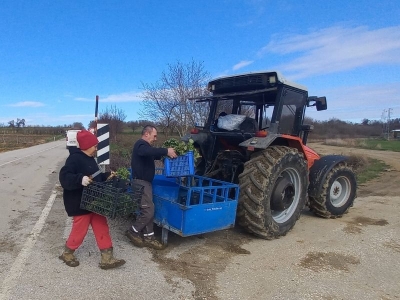 Toprağa emek veriyorlar, hayatlarını tarlalarından kazanıyorlar