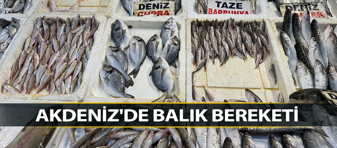 Akdeniz'de balık bereketi