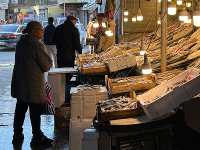 Akdeniz'de balık bereketi