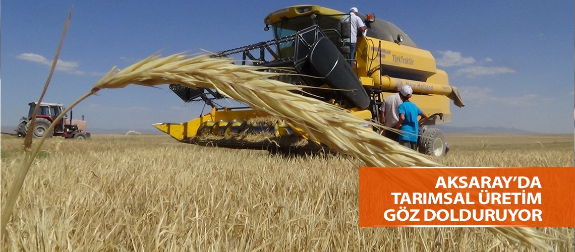 Aksaray’da tarımsal üretim göz dolduruyor