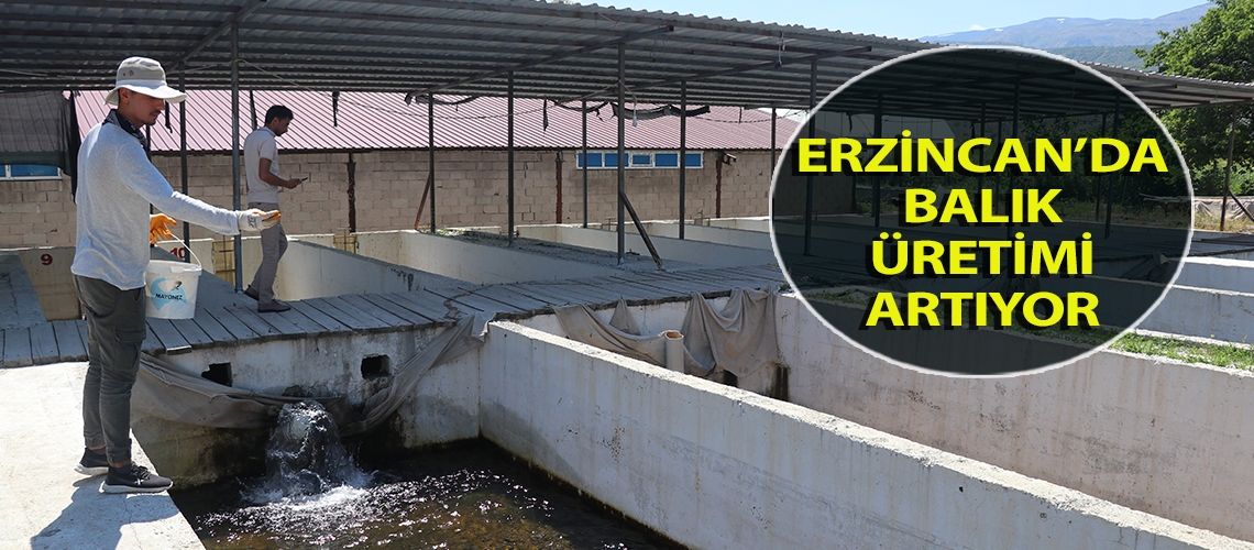 Erzincan’da balık üretimi artıyor