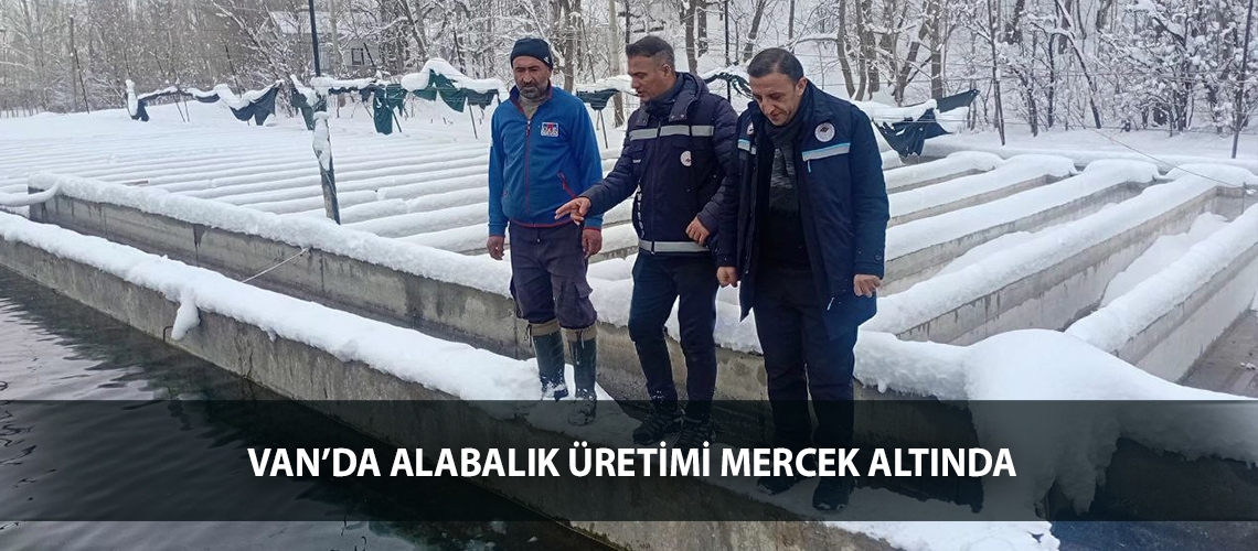 Van’da alabalık üretimi mercek altında