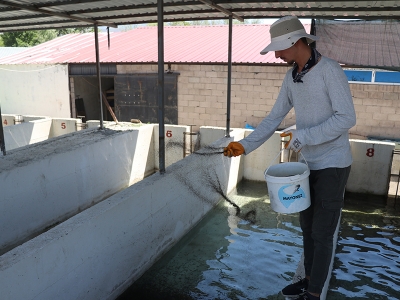 Erzincan’da balık üretimi artıyor
