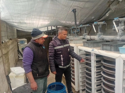 Van’da alabalık üretimi mercek altında