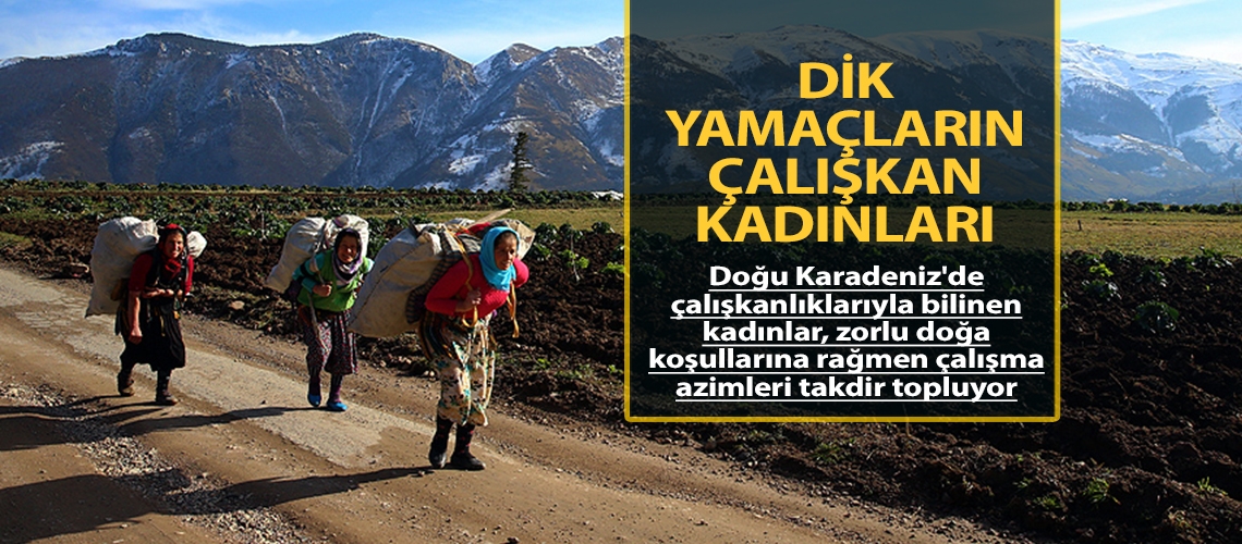 Dik yamaçların çalışkan kadınları
