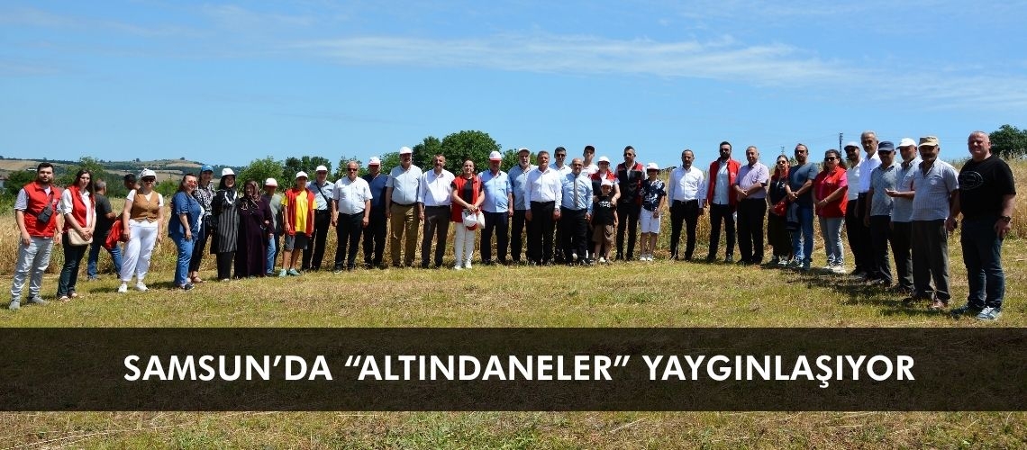 Samsun’da “Altındaneler” yaygınlaşıyor