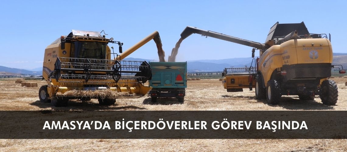 Amasya’da biçerdöverler görev başında