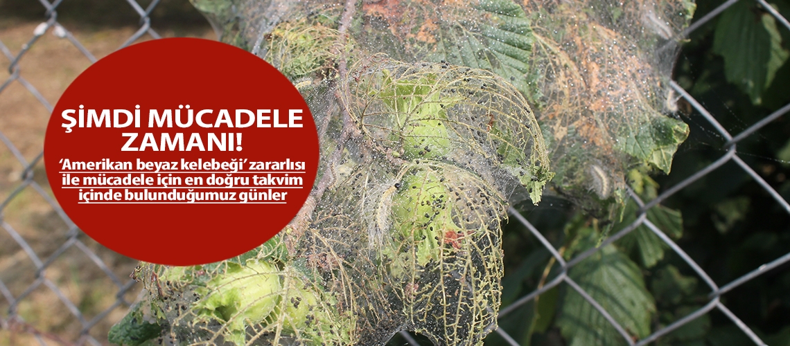 Şimdi mücadele zamanı!