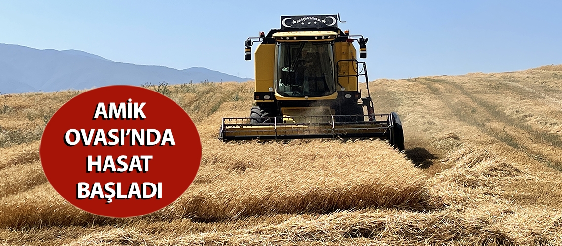 Amik Ovası’nda hasat başladı