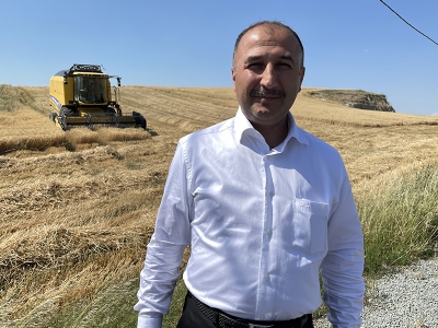 Amik Ovası’nda hasat başladı