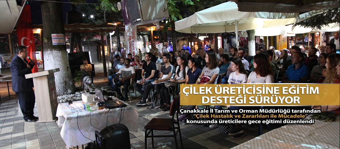 Çilek üreticisine eğitim desteği sürüyor