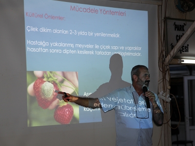 Çilek üreticisine eğitim desteği sürüyor