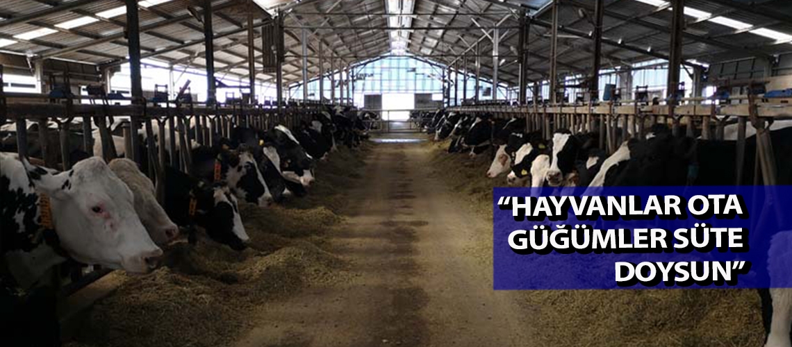 “Hayvanlar ota güğümler süte doysun”