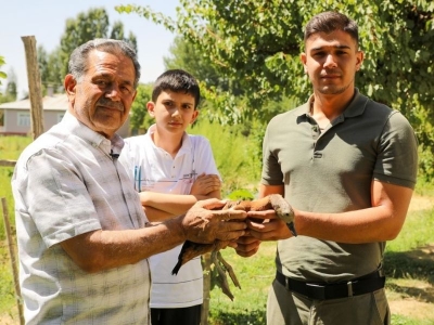 Angut kuşu emin ellerde