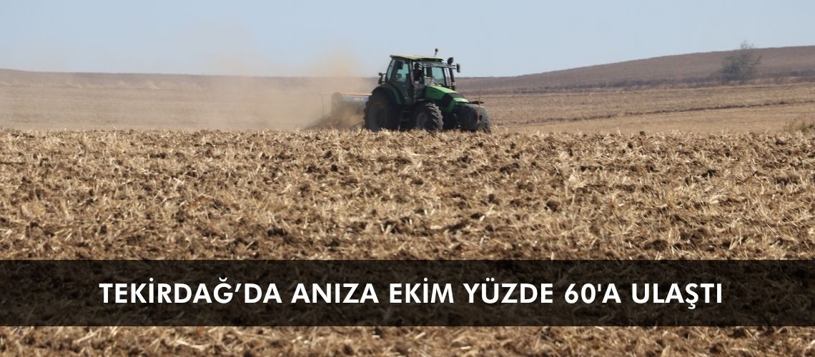 Tekirdağ’da anıza ekim yüzde 60'a ulaştı