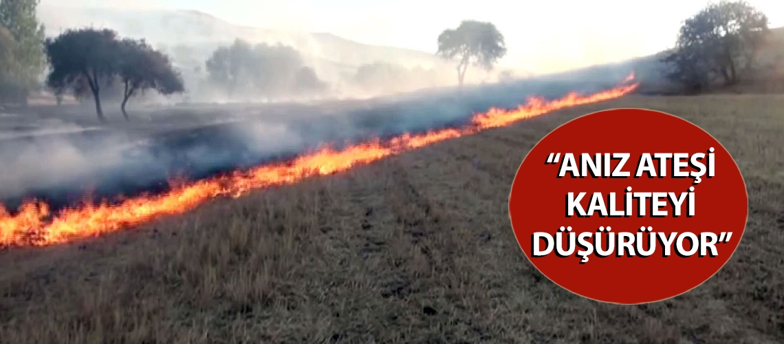 “Anız ateşi kaliteyi düşürüyor”