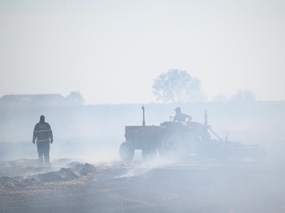 Anız yakmak, verimi düşürüyor